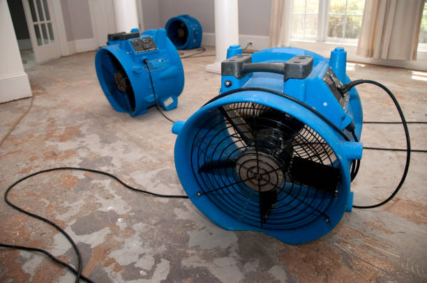 Best Water damage repair service  in East Brewton, AL